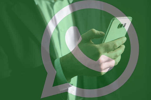 WhatsApp reservekopie, wat te doen als het niet werkt?