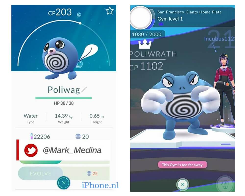 Poliwag-evolueren-Poliwrath-pokemon-go