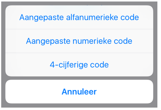 toeganscode inschakelen op iPhone